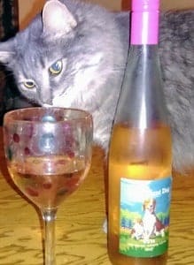 Keto Products: Wine & Thor