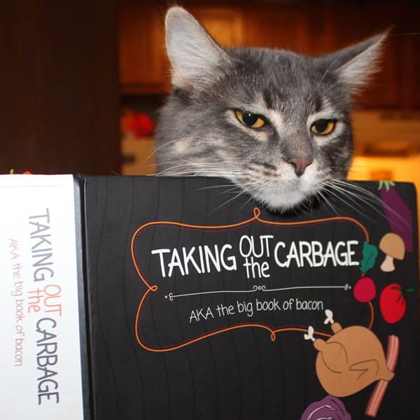 Low Carb Zen - Thor the Warrior Kitten looking over a hardback copy of Taking Out the Carbage low carb cookbook featuring keto recipes and low carb recipes.
